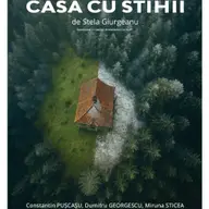 Chirița în provinție
