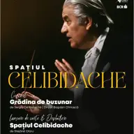 Spațiul Celibidache